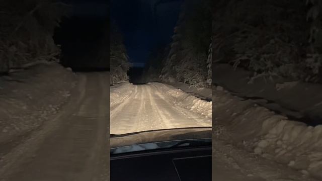 Первая встреча с волком и рысью за один день смотреть онлайн