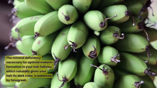 6 Benefits Of Fenugreek Seeds For Your Hair смотреть онлайн