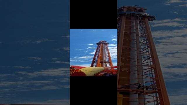 Жар птица. Сочи Парк. Адлерский район смотреть онлайн