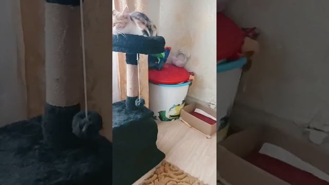 Знакомьтесь это Маргарита?❤️ смотреть онлайн