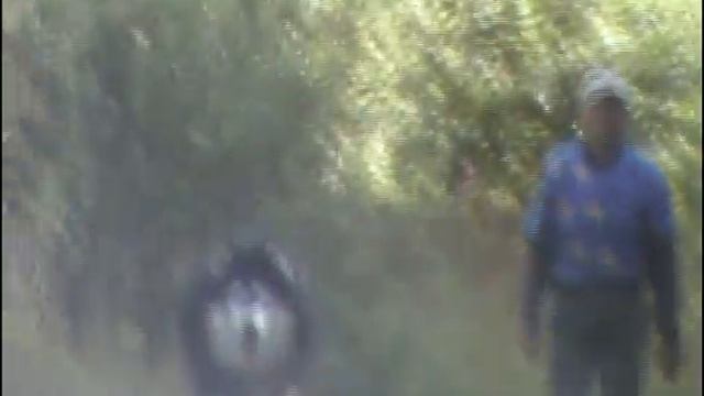 встреча на эльбе! смотреть онлайн