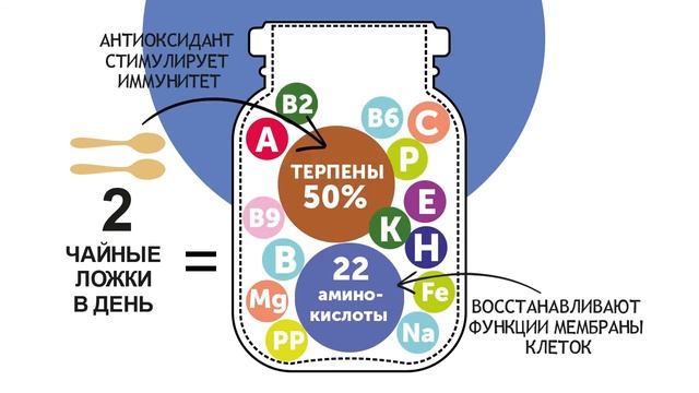 ИммунUP. Мёд с маточным молочком и кедровой живицей. смотреть онлайн