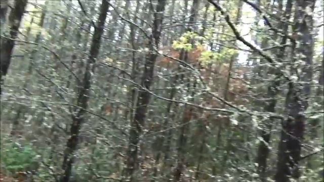 Канадский бирюк. Часть 62. Мокренькие поездки. смотреть онлайн