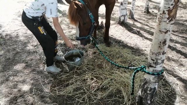 Проект социализации детей сирот. смотреть онлайн