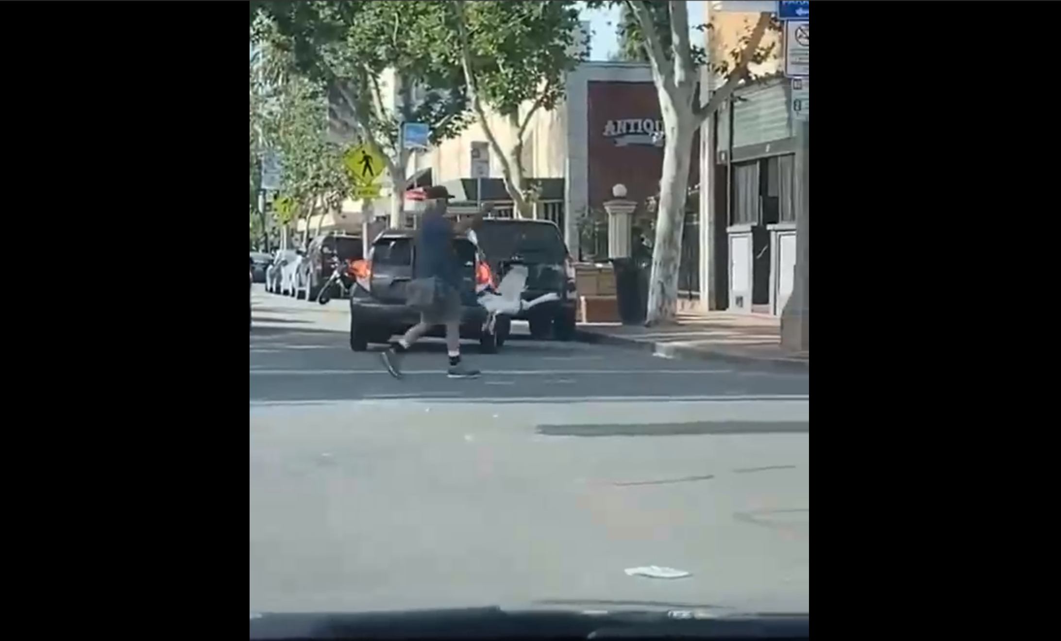 Мужик выгуливает своего гуся смотреть онлайн