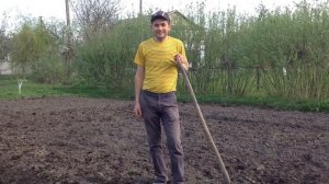 как сажать кукурузу