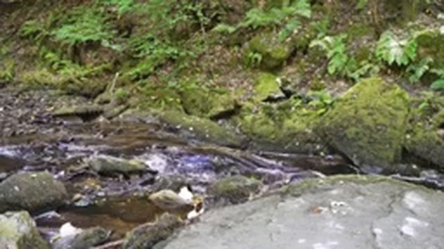 Relaxing Sounds Of Flowing Water - Sleep & Meditation - Gentle Stream 2 - Over 12 Hours смотреть онлайн