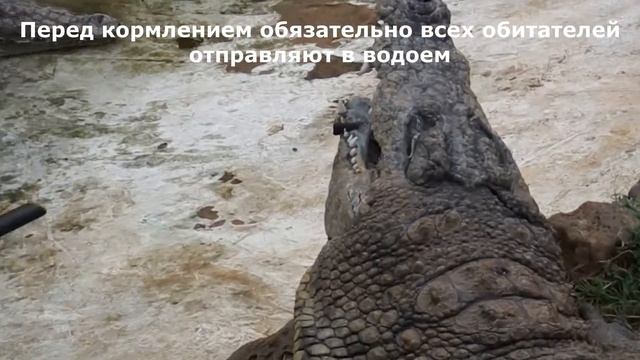 Кения Найроби смотреть онлайн