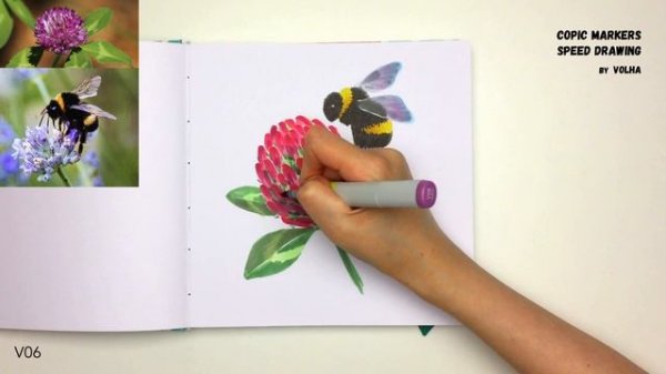 Copic markers speed drawing #29 / Рисую маркерами Copic шмеля на клевере