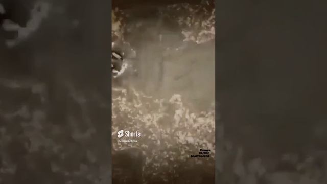НА ДАВАЛИ ВИСЯЧКОЙ.mp4 смотреть онлайн