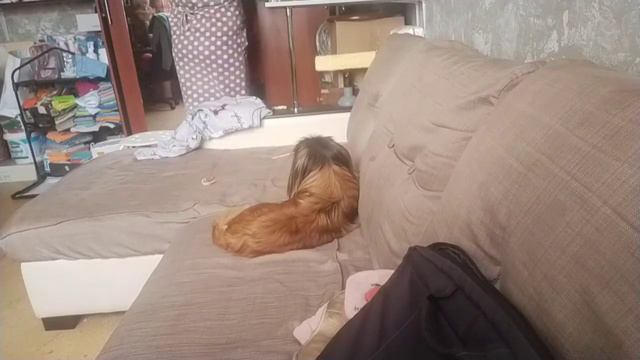 Собираю сумку в дорогу! Куча дел до от"езда🙊🙈🙉, сегодня уезжаю в МОЙ МАРИУПОЛЬ!❤️❤️❤️ смотреть онлайн