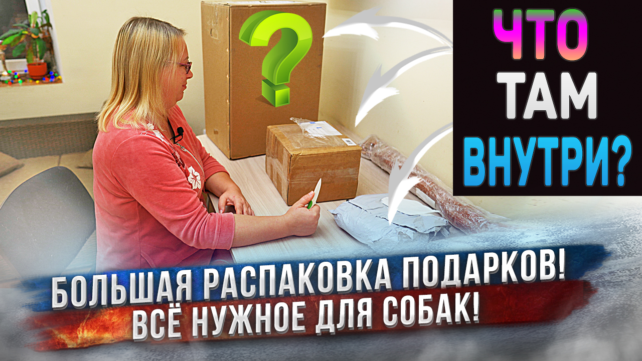 Большая распаковка! Лакомства, полотенца, лежак гамак! Кислородный концентратор Longfian JAY-5A смотреть онлайн