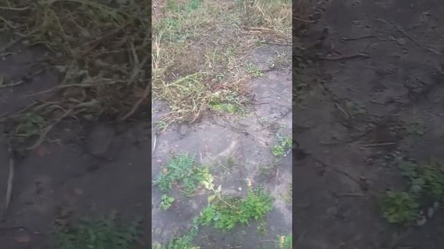 прессинг физ лиц рыфы от Александра Воронеж часть вторая смотреть онлайн