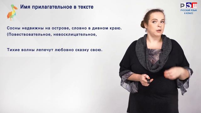 Звериные истории: уникальные случаи