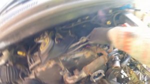 Installation of fuel pump Ford Transit/Установка ТНВД Ford Transit