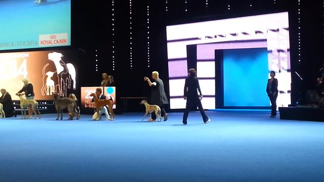 WDS 2014 Helsinki. Short clip from group 10 смотреть онлайн