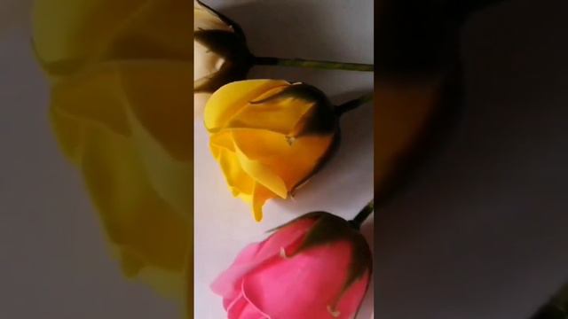 Ванна с лепестками вспененных роз! смотреть онлайн