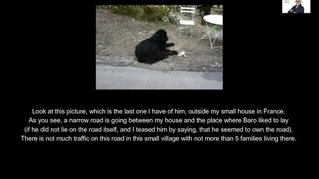 I KILLED BARO, MY DOG! смотреть онлайн