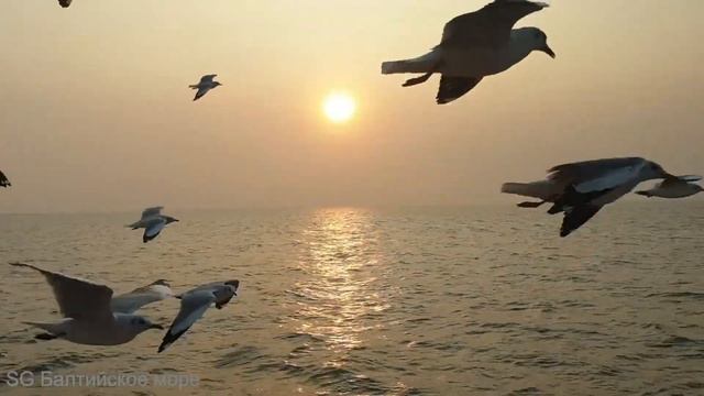 БАЛТИЙСКОЕ МОРЕ, медитация для начинающих.Спокойная музыка. смотреть онлайн