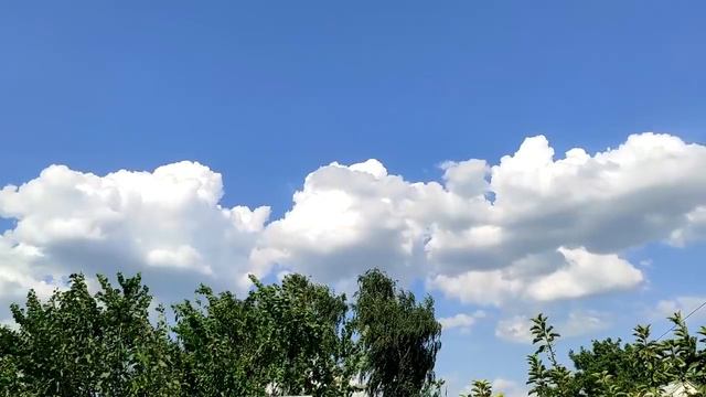 Дарите свою любовь тому, кто всегда будет выбирать вас. смотреть онлайн