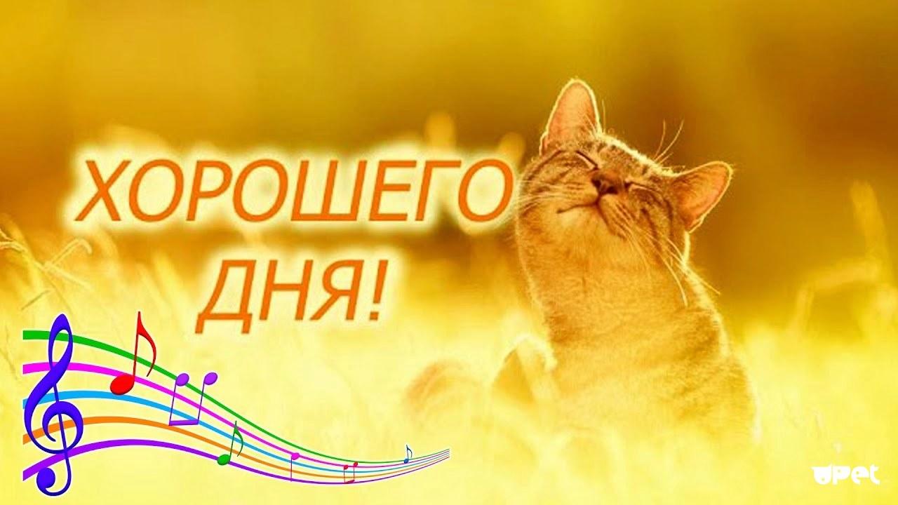 Добрый День☀️? Доброго дня и отличного настроения? Пусть сбываются Мечты?? смотреть онлайн