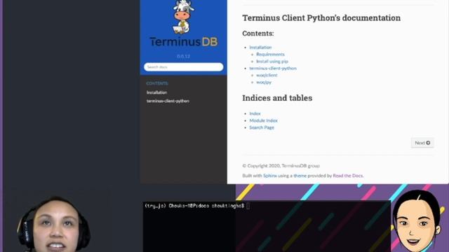 Customizing Python Docs Generated by Sphinx смотреть онлайн