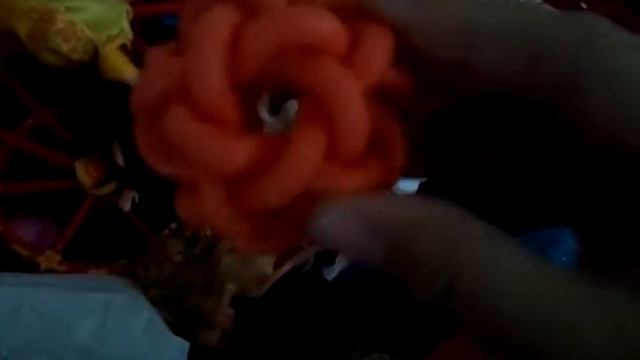 Hamster Playground AND How-Tos