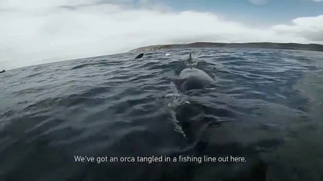 Самый простой способ снять крутое видео! смотреть онлайн