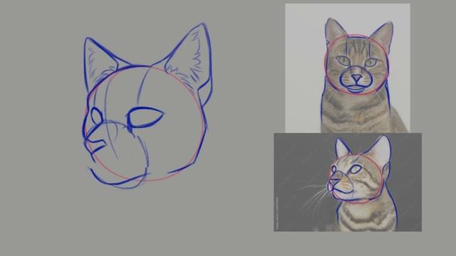Mini Tutorial // Drawing Cat Faces & Warrior Cats (with Voiceover) смотреть онлайн