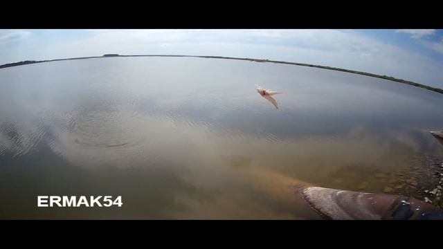 Крупный окунь на отводной смотреть онлайн