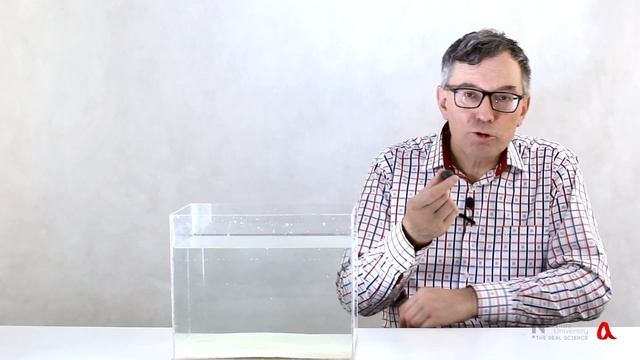 Всплеск песка смотреть онлайн