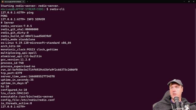 Explore the Redis Server Running on your PS5 смотреть онлайн