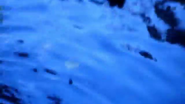 ОСЕНЬ. Лесное озеро. Воробьевы Горы смотреть онлайн