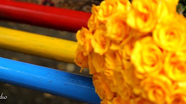 Поздравления мамы с днём рождения смотреть онлайн