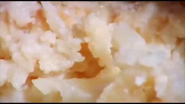 Касу Марцу. Самый дорогой в мире сыр-деликатес... с червями. смотреть онлайн