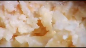 Касу Марцу. Самый дорогой в мире сыр-деликатес... с червями.