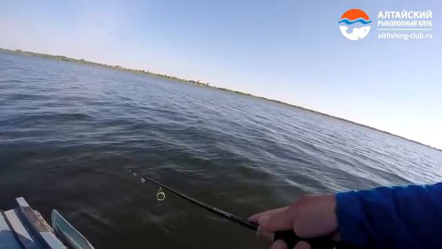 Уткуль 2016 смотреть онлайн