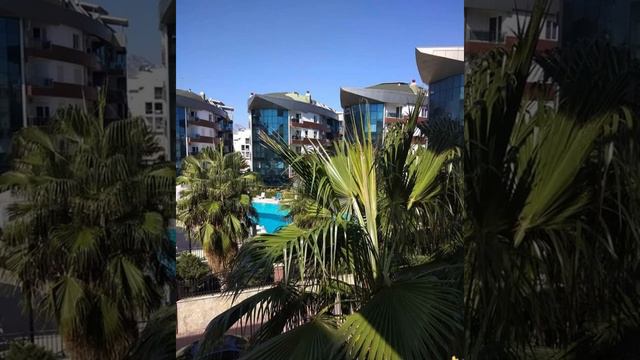 #живой #прожизнь #life #like #tv #music #instagram #guf #подпишись 💕🙏 смотреть онлайн