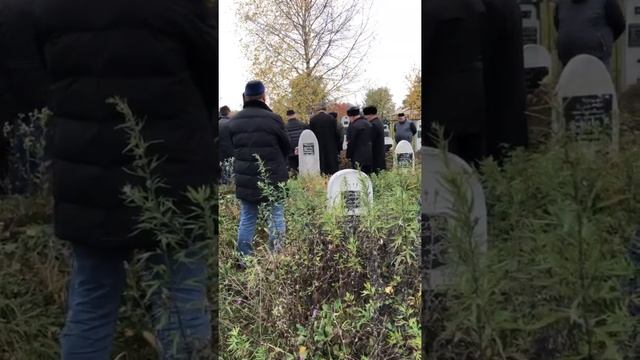 Таьзет Дачное 1 смотреть онлайн