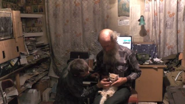 Наша вина, что котёнок вскочил на раскалённую до бела плиту Затопил печь – закрой плиту 20 10 201 смотреть онлайн