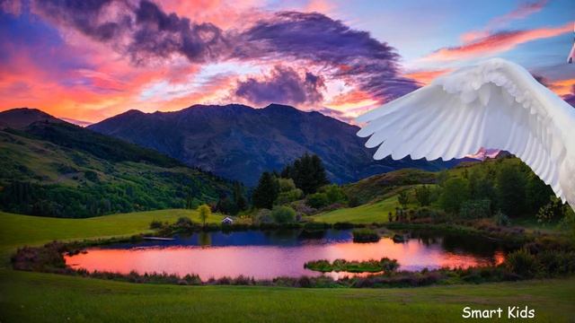 Животные для детей часть 10| Учим Птиц | Учим названия и голоса Птиц для детей смотреть онлайн