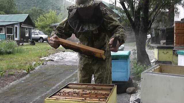 Начинаем расширение семей до второго корпуса! смотреть онлайн