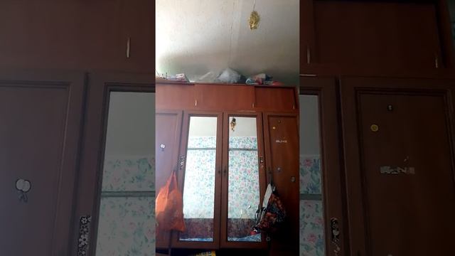 Как сделать шалаш из подушки и одеяла смотреть онлайн