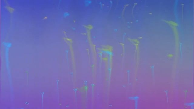 Песнь 9 Освобождение 1 06 Падение Саубхари Муни смотреть онлайн