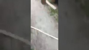 Когда Леха страхует ??? У всех есть такой друг?