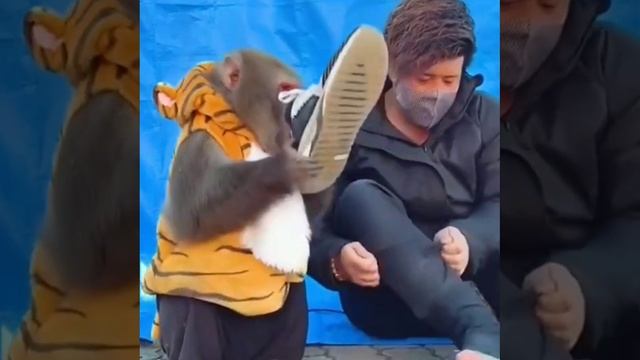 Свалили хим.атакой смотреть онлайн