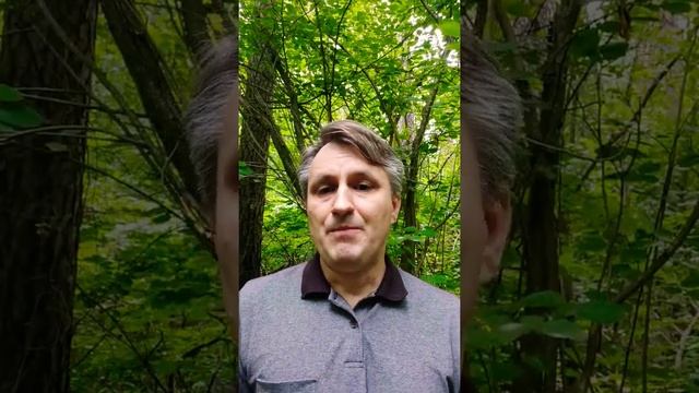 Зачем вам сайт визитка? Включаем голову! смотреть онлайн