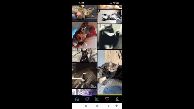 Огромная Коллекция GIF Для Соцсетей и Мессенджеров. Обзор приложения Giphy смотреть онлайн