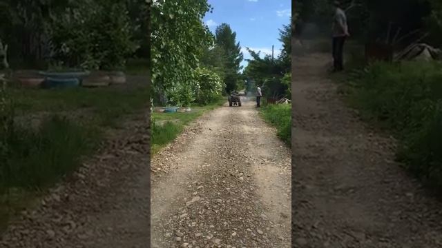 Дачные трюки на квадроцикле смотреть онлайн
