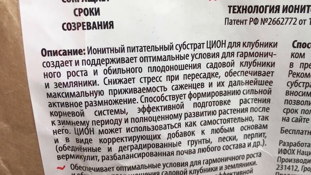 Земляника в горшке смотреть онлайн